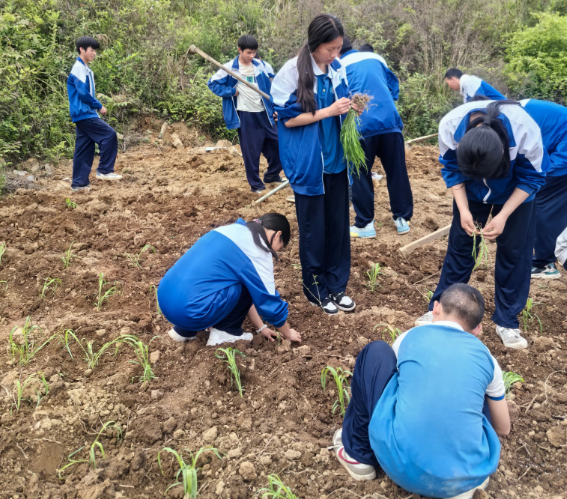 搭建实景讲堂实时收集学生劳作数据用智能点评代替纸质打分 搭建实景讲堂实时收集学生劳作数据用智能点评代替纸质打分